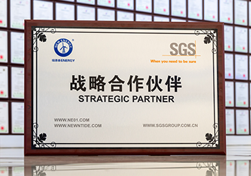 2025-08-SGS戰(zhàn)略合作伙伴